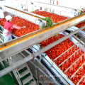Máquina de fabricação de conservas de molho de tomate comercial